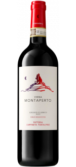 Vigna Montaperto Gran Selezione 2019 - Fattoria Carpineta Fontalpino