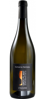L'Invincible 2024 - Dominio Petiteau
