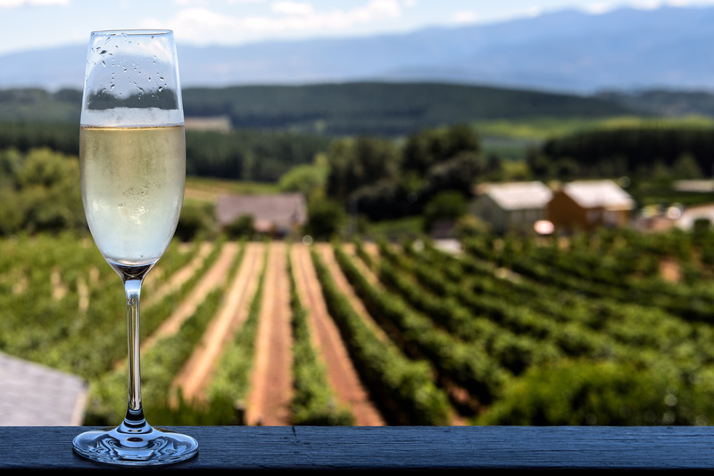 copa de champagne ecológico