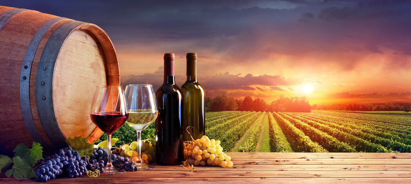 vino ecológico, viñas, copas de vino, botellas de vino, barril