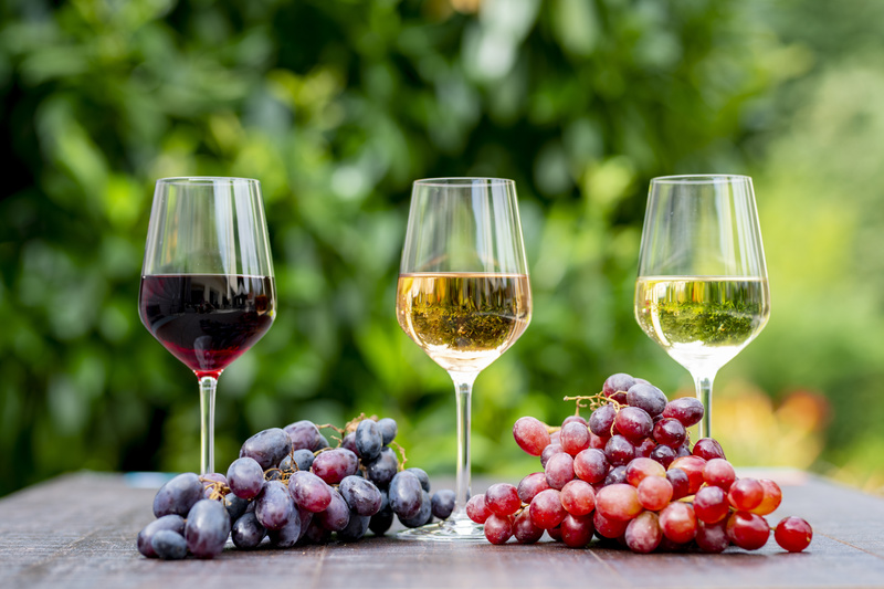 vino ecológico tinto, vino ecológico rosado, vino ecológico blanco