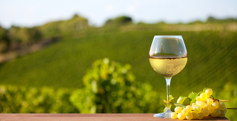 Petit chablis, denominación petit chablis, viñedos chablis, Borgoña