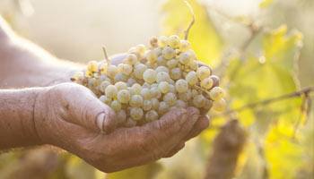 relation de confiance - Vinatis
