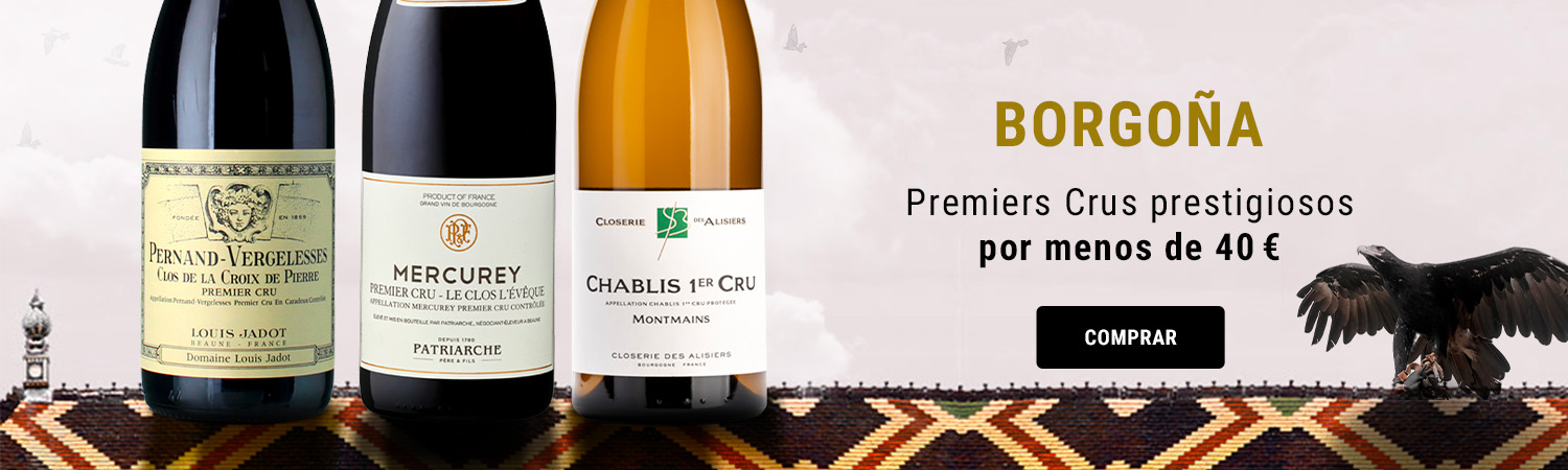 BOURGOGNE PREMIERS CRUS -40 €
